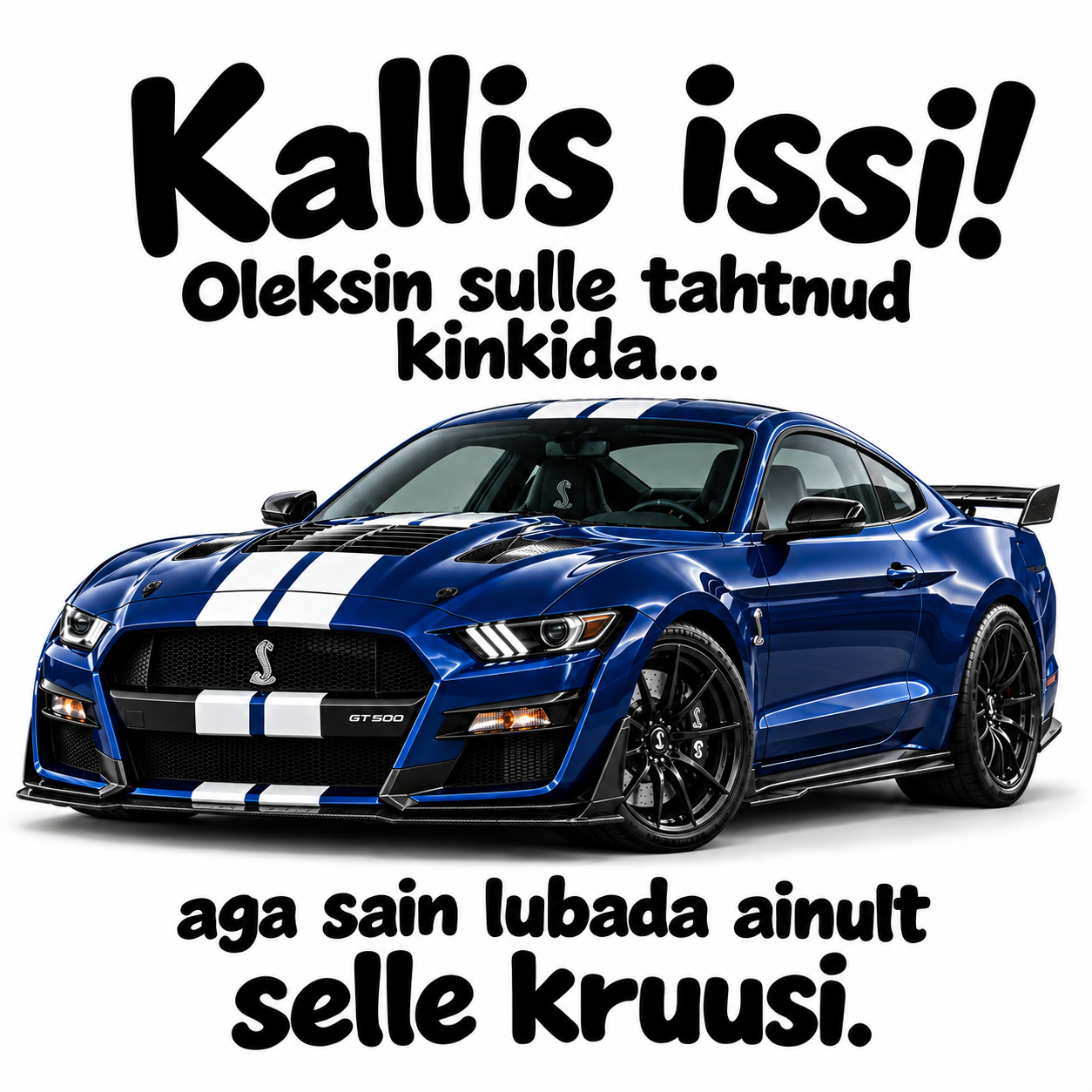 Kruus plaan A ja plaan B Ford Mustangiga